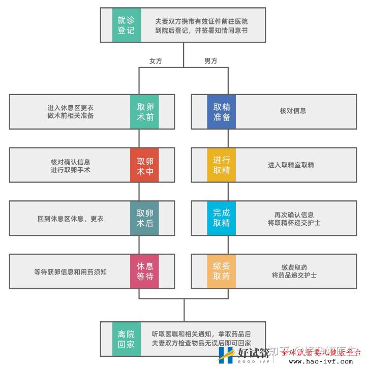 第一次取卵没经验一张图告诉你试管婴儿取卵全流程!(图3) 第一次取卵没经验一张图告诉你试管婴儿取卵全流程!(图3)