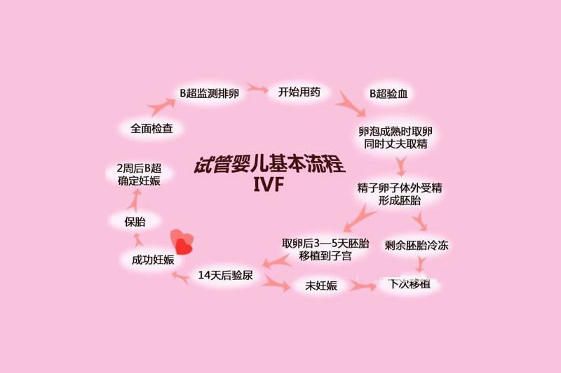 第一代试管婴儿(IVF)流程_成功率_费