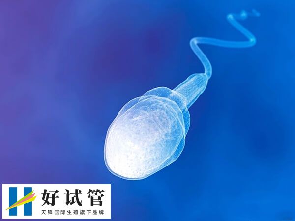 c级精子活性较低