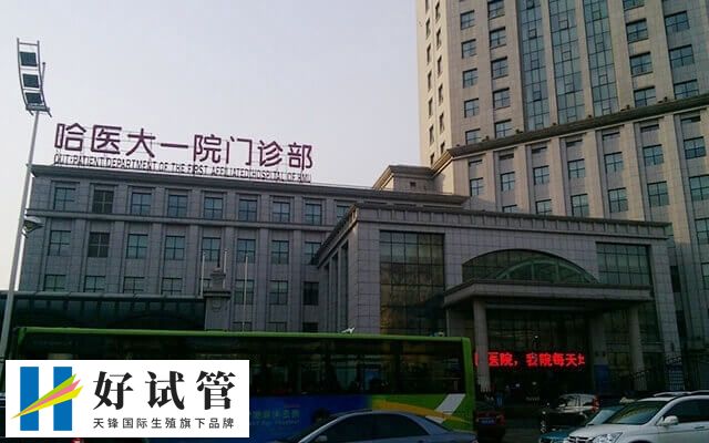 哈尔滨医科大学附属第一医院