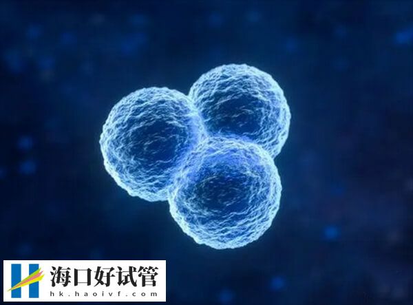 促排卵双胞胎是不是长得一样(图2)