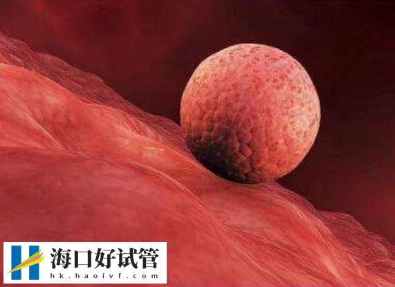 三代试管为什么会生化(图2)